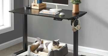 Stylish Electric Height Adjustable Standing Computer Desk Single Motor AT-01